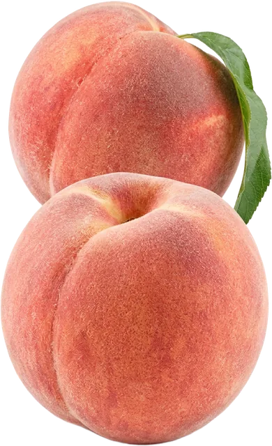 Pêches